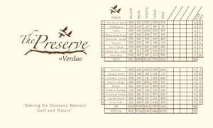Preserve-at-Verdae-Scorecard